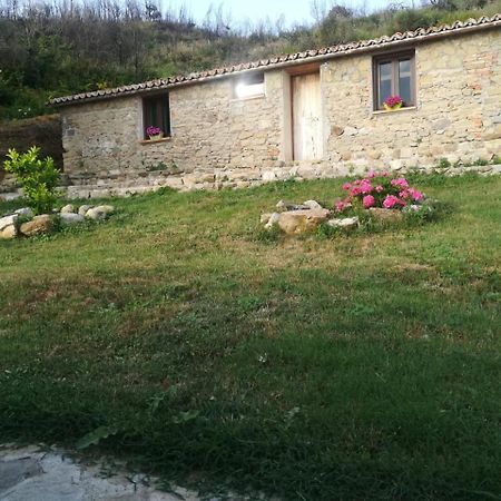 Il Cerro Agriturismo Zagarese Fuscaldo Zewnętrze zdjęcie