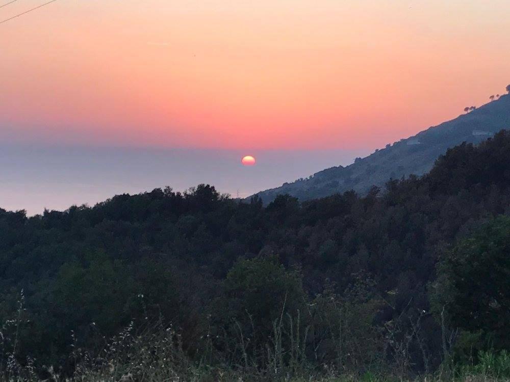 Il Cerro Agriturismo Zagarese Fuscaldo Zewnętrze zdjęcie